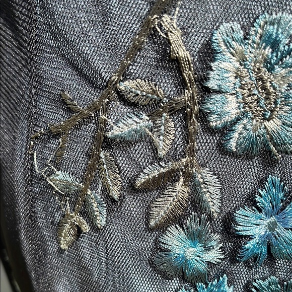 NWT Adriana Papell lace embroidered net sheer dress- gown- Size 10 - Picture 14 of 17